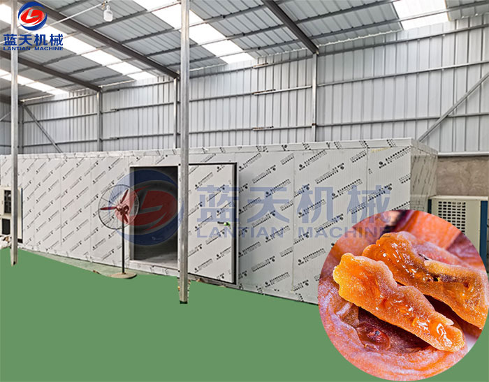 柿餅烘干機(jī)